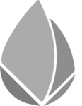 Logo 24